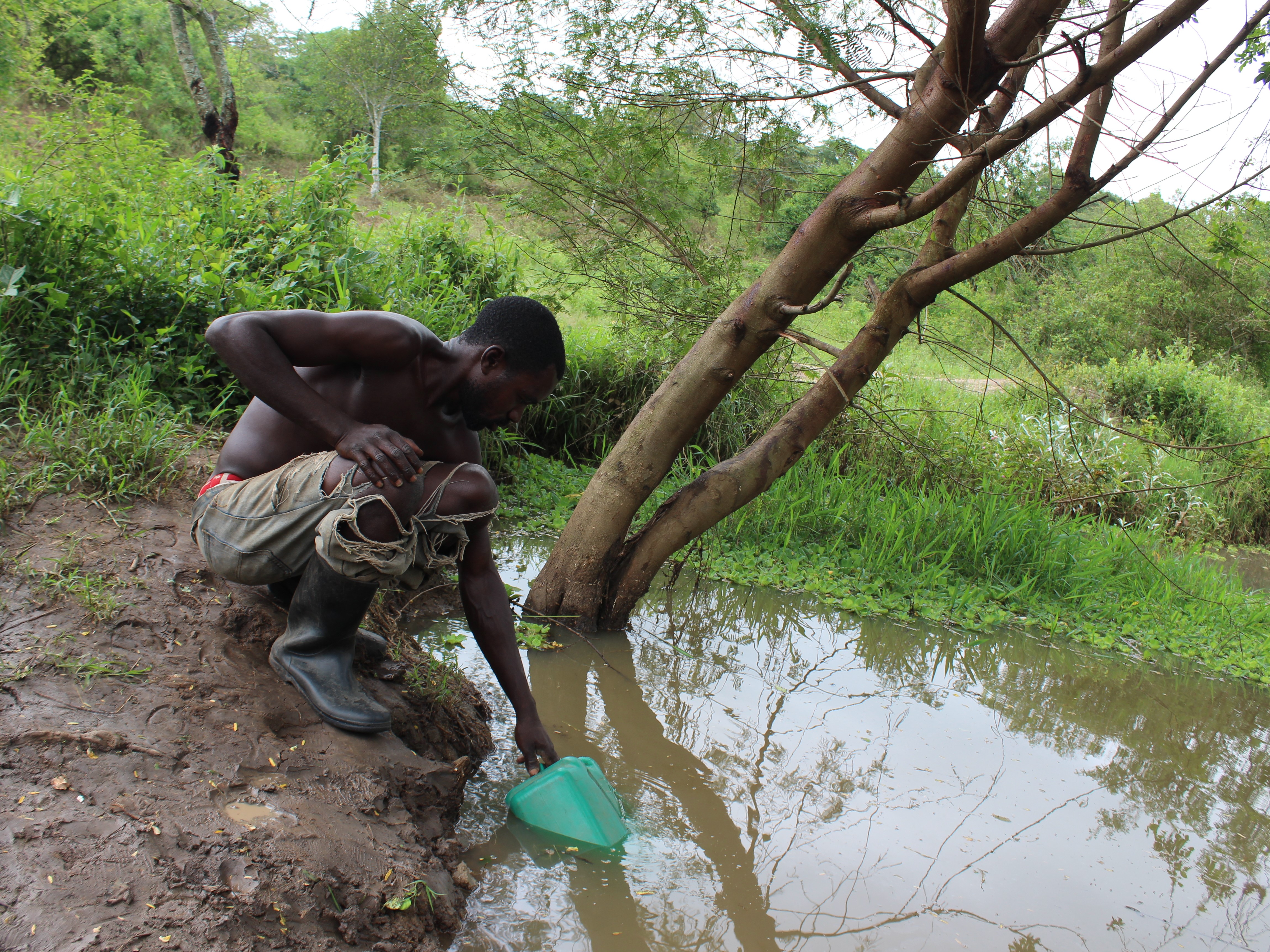 Generic placeholder image